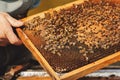 Bee hive detail close up. Beekeeper Inspecting Bee Hive after winter