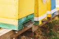 Bee hive detail close up. Bees are working Royalty Free Stock Photo