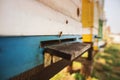 Bee hive detail close up. Bees are working Royalty Free Stock Photo