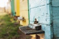 Bee hive detail close up. Bees are working Royalty Free Stock Photo