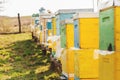 Bee hive detail close up. Bees are working Royalty Free Stock Photo