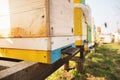 Bee hive detail close up. Bees are working Royalty Free Stock Photo