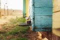 Bee hive detail close up. Bees are working Royalty Free Stock Photo