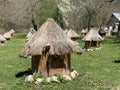 Bee hive in the form of houses on green grass Royalty Free Stock Photo