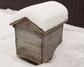Bee hive in snow.