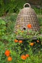 Wicker Bee Hive Royalty Free Stock Photo