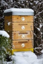 Bee hive in winter Royalty Free Stock Photo