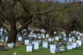 Bee Hives