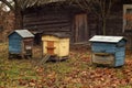 Bee hives in autumn season. Royalty Free Stock Photo