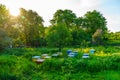 Bee hives. Background with selective focus and copy space