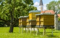 Bee hives in the garden Royalty Free Stock Photo
