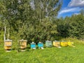 bee hives countryside near forest