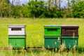 Bee hives on the field