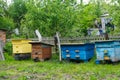 Bee hives in the garden. Apiculture concept, honey industry Royalty Free Stock Photo