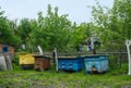 Bee hives in the garden. Apiculture concept, honey industry Royalty Free Stock Photo