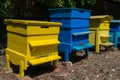 Bee hives in the garden. Beekeeping. Royalty Free Stock Photo