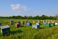 Bee hives in the field Royalty Free Stock Photo