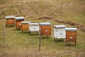 Bee hives on green grass in a field in Europe Royalty Free Stock Photo