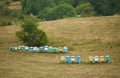 Bee hives on green grass in a field in Europe Royalty Free Stock Photo