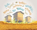 Bee hives with honeycomb in the foreground and with flying bees Royalty Free Stock Photo