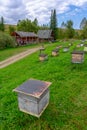 Bee hives houses on the apiary stand on a hill in front of a wooden house.