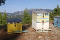 Bee hives in Northern Evia in Greece.