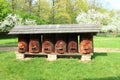 Bee-hives in open-air museum