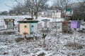 Bee hives in snow winter at field Royalty Free Stock Photo