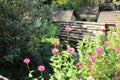 Bee hives stand in the garden Royalty Free Stock Photo