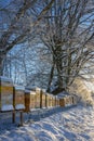 Bee hives in winter - bee breeding Apis mellifera in beautiful winter Royalty Free Stock Photo