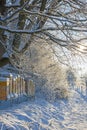 Bee hives in winter - bee breeding Apis mellifera in beautiful winter Royalty Free Stock Photo