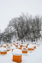 Bee hives in winter