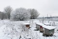 Bee hives in winter Royalty Free Stock Photo
