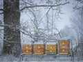 Bee hives in winter time - hives in snow Royalty Free Stock Photo