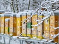 Bee hives in winter time - hives in snow Royalty Free Stock Photo