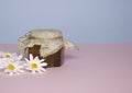 Bee honey with a burlap lid. Pink and blue background, daisies. Useful farm products