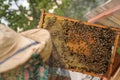 Bee honey is good for health, and has many vitamins