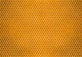 Bee honey in honeycomb pattern background