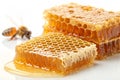 Bee honey in honeycomb pattern background Royalty Free Stock Photo