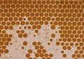 Fresh Bee honey in honeycomb pattern background