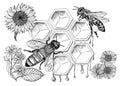 Bee and Honey. Mead and insect and floral and Beekeeping. Honeycomb and hive Vector Engraved hand drawn Vintage old