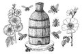 Bee and Honey. Mead and insect and floral and Beekeeping. Honeycomb and hive Vector Engraved hand drawn Vintage old