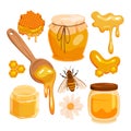 Bee honey set, gold drops of organic sweet liquid flow from hexagon honeycomb and spoon Royalty Free Stock Photo