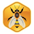 Bee on honeycell, vector Royalty Free Stock Photo