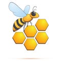Bee on honeycells. Vector illustration Royalty Free Stock Photo