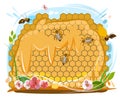 Bee honeycomb. Bees collect nectar, get honey, put it in wax cells. Vector isolated object on white background. Trickles of honey