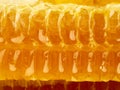 Bee honeycomb closeup, fresh stringy dripping sweet honey, macro background