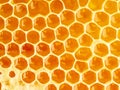 bee honeycomb closeup, fresh stringy dripping sweet honey, macro