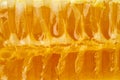 Bee honeycomb closeup, fresh stringy dripping sweet honey, macro Royalty Free Stock Photo