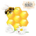 Bee, honeycomb, daisies and honey label
